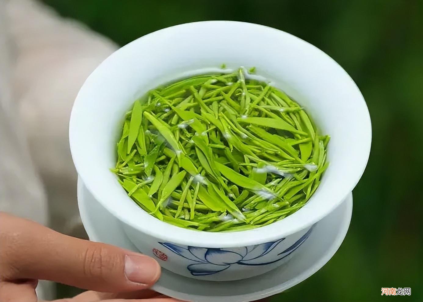 中国绿茶十大名茶最新排名 中国十大名绿茶最新排名