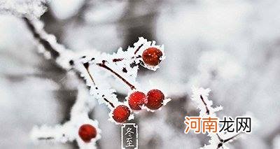 真正的“数九寒天”来啦！冬至养生从搓手泡脚开始