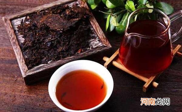 一种特种茶/喝了可以减肥 普洱茶是黑茶吗，不属于黑茶