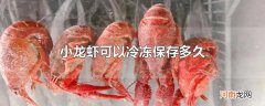 小龙虾可以冷冻保存多久