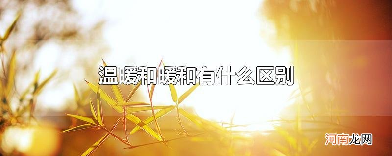 温暖和暖和有什么区别