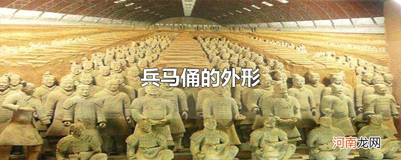 兵马俑的外形