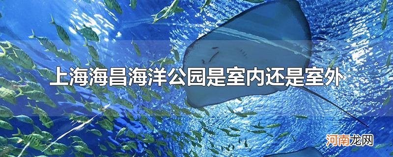 上海海昌海洋公园是室内还是室外