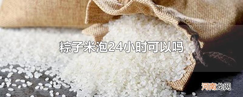 粽子米泡24小时可以吗