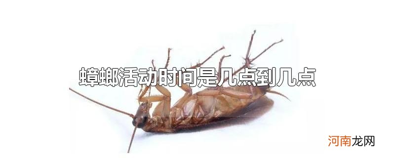 蟑螂活动时间是几点到几点