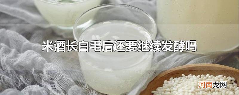 米酒长白毛后还要继续发酵吗