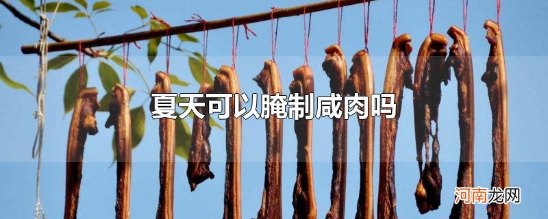 夏天可以腌制咸肉吗