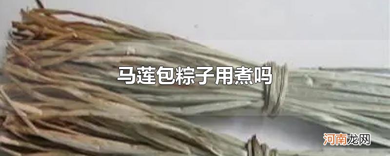 马莲包粽子用煮吗