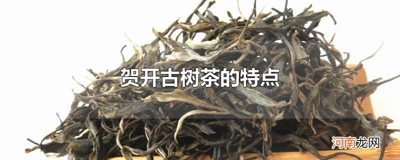 贺开古树茶的特点