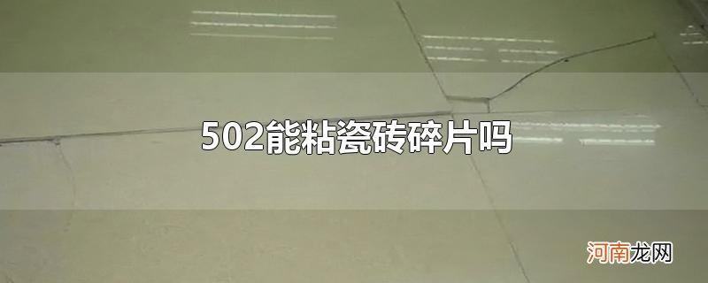 502能粘瓷砖碎片吗