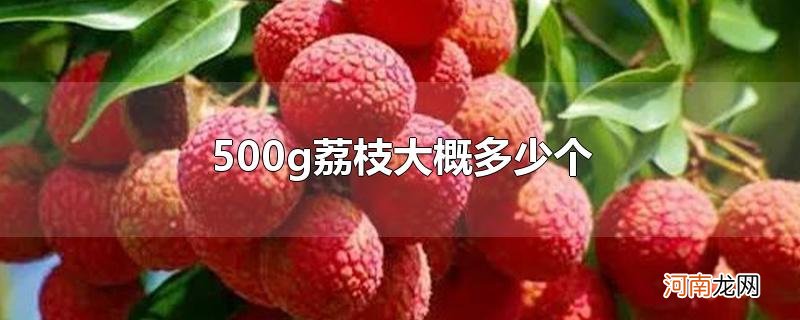 500g荔枝大概多少个