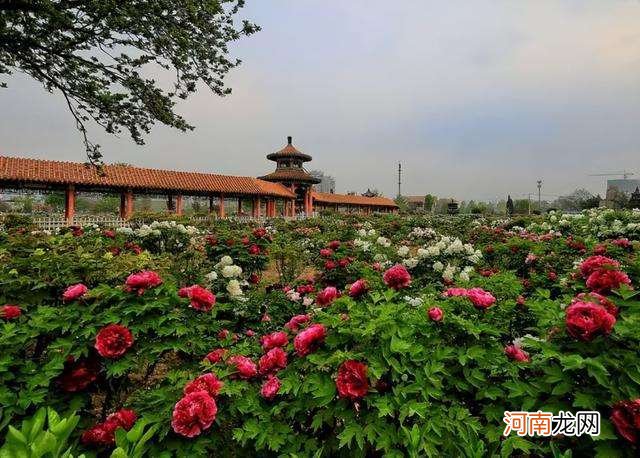 菏泽市哪里 菏泽市哪里做核酸检测