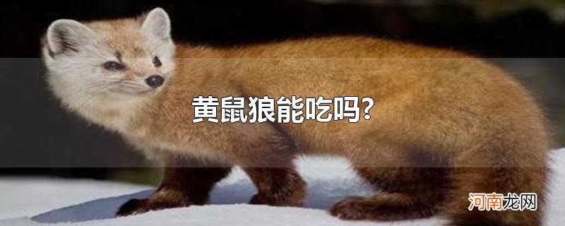 黄鼠狼能吃吗?