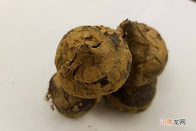 荸荠和马蹄的区别？吃荸荠应该注意什么？