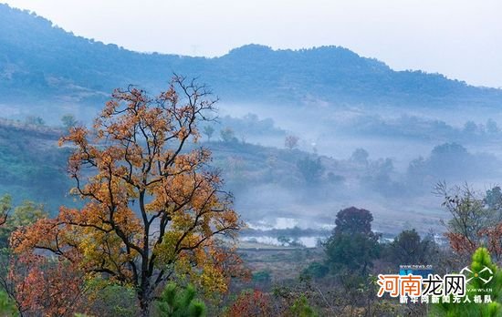 大悟是哪里 大悟在什么地方