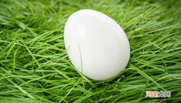 白子蒸蛋的白子是什么 白子蒸蛋的白子是什么东西