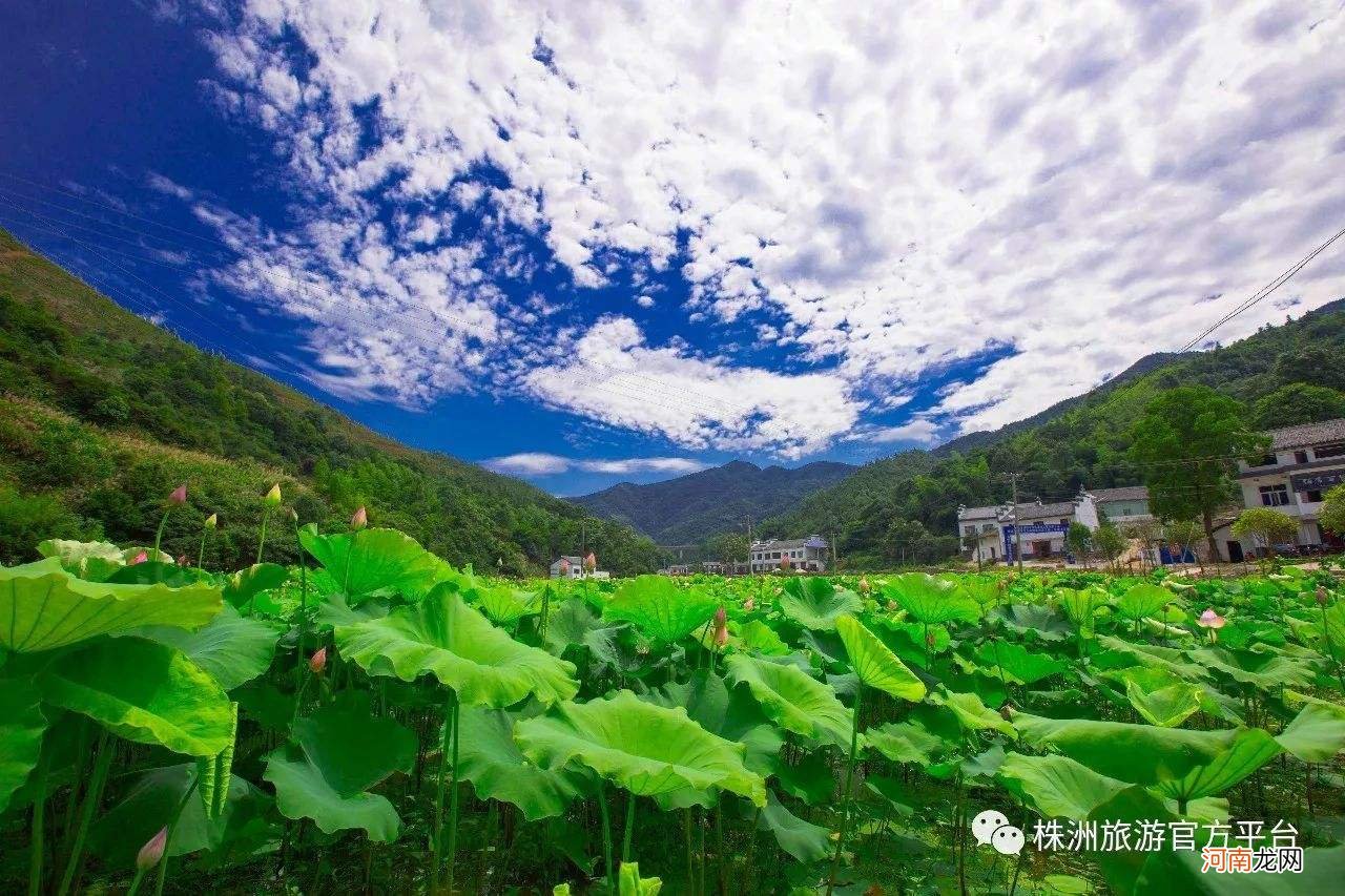 醴陵在哪里 醴陵在哪里办公交卡