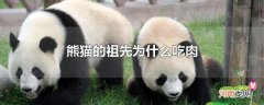 熊猫的祖先为什么吃肉