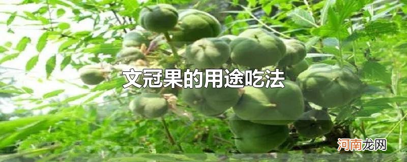 文冠果的用途吃法