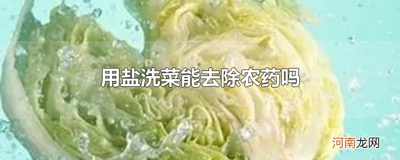 用盐洗菜能去除农药吗