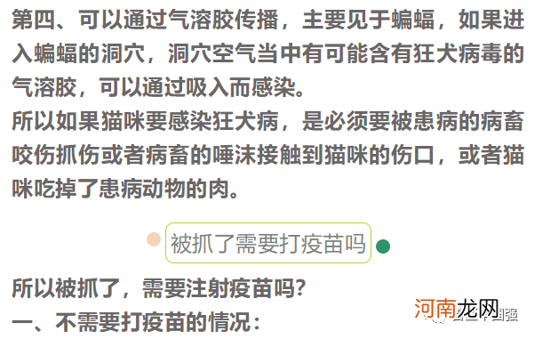 打狂犬疫苗是打哪里 打狂犬疫苗一般打哪里