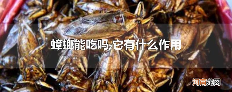 蟑螂能吃吗,它有什么作用