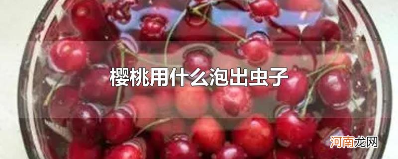 樱桃用什么泡出虫子