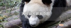 大熊猫黑眼圈原因