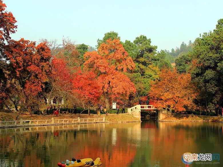 十一去哪里旅游好玩 十一去哪里旅游最好玩附近