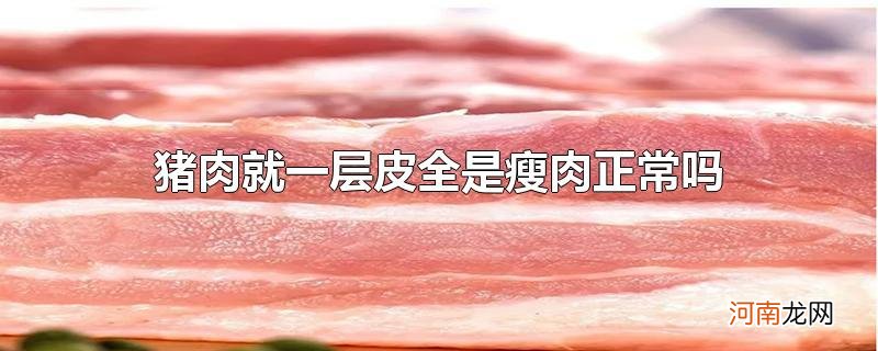 猪肉就一层皮全是瘦肉正常吗