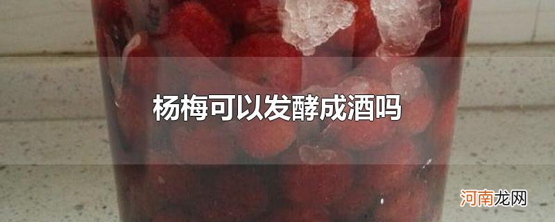 杨梅可以发酵成酒吗