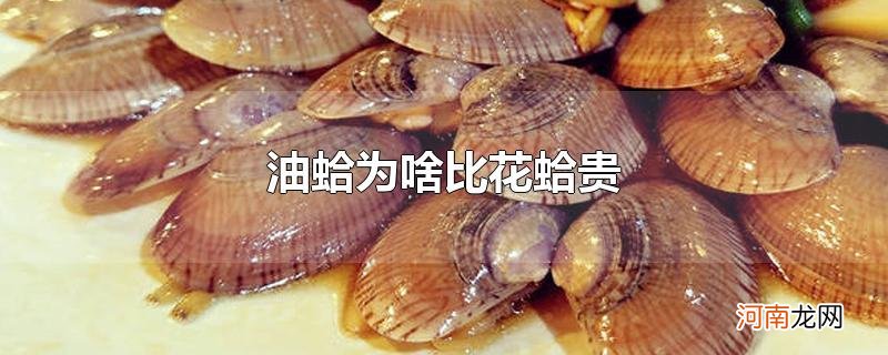 油蛤为啥比花蛤贵