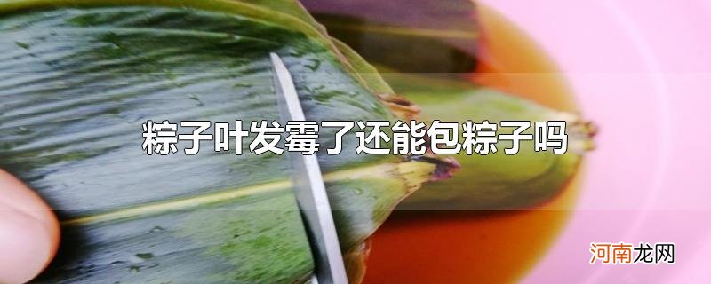 粽子叶发霉了还能包粽子吗