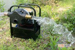 质量好的水泵十佳品牌
