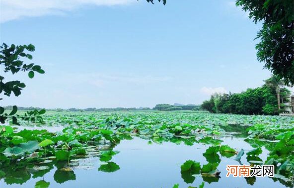 广西贵港十大旅游景点，南山寺仅居第二名