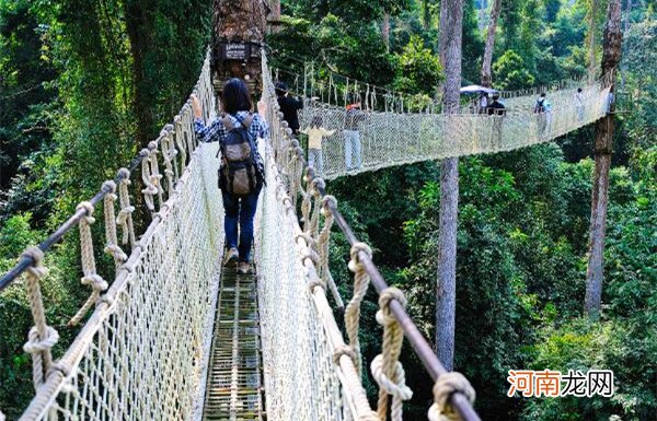 西双版纳十大旅游景点排名，野象谷排在第四位