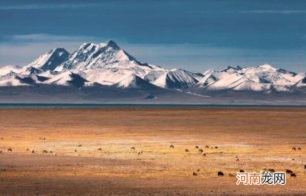 中国最适合星空摄影的十大胜地：茶卡盐湖榜上有名