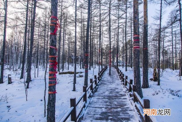 中国最北海拔最高的石林：景观独特极其罕见