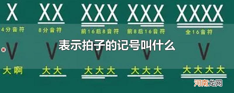 表示拍子的记号叫什么