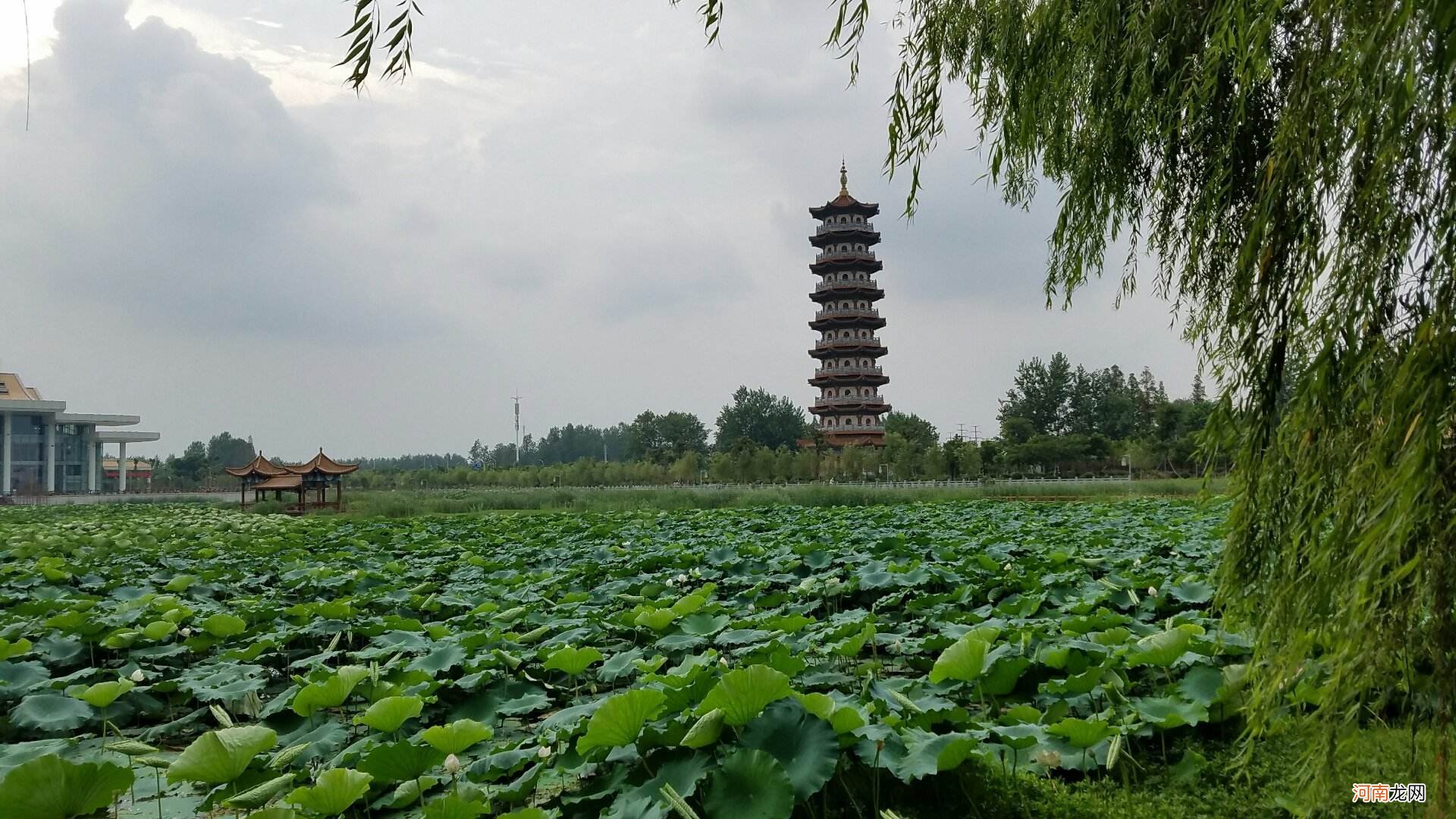 潜江在哪里 湖北潜江在哪里