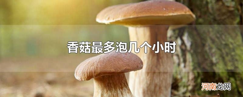 香菇最多泡几个小时