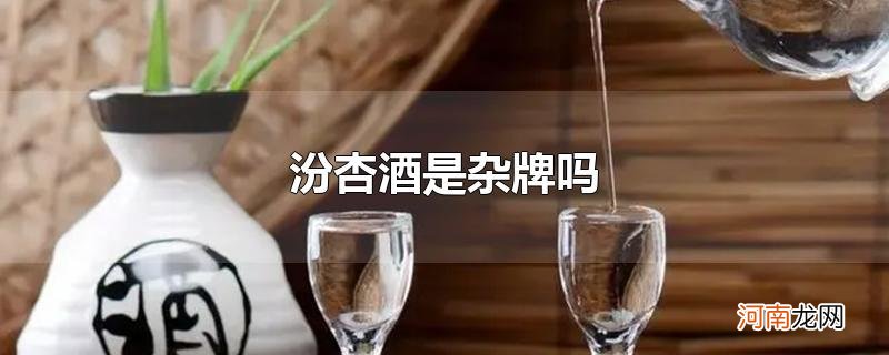 汾杏酒是杂牌吗