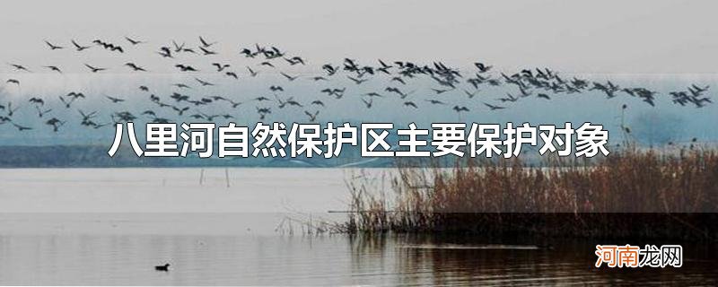 八里河自然保护区主要保护对象