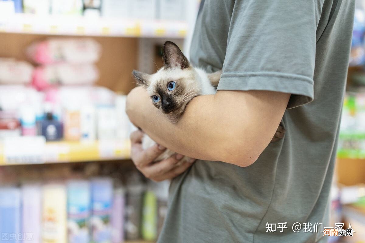 猫在哪里买 玩吧猫在哪里买