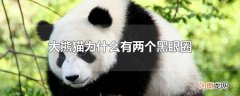 大熊猫为什么有两个黑眼圈