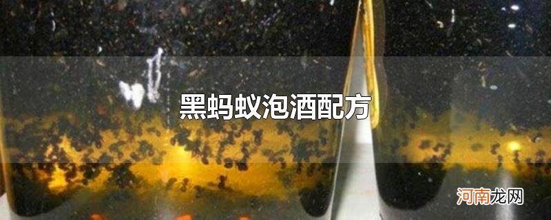 黑蚂蚁泡酒配方