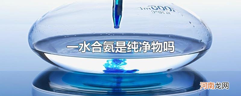 一水合氨是纯净物吗