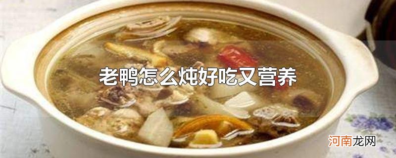 老鸭怎么炖好吃又营养