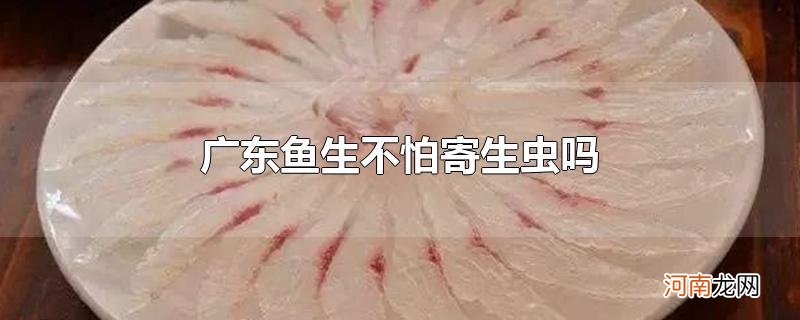 广东鱼生不怕寄生虫吗