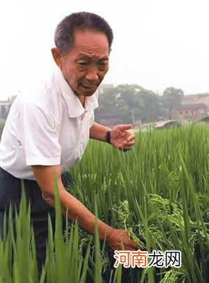 袁隆平是哪里人 袁隆平是哪里人?什么身价